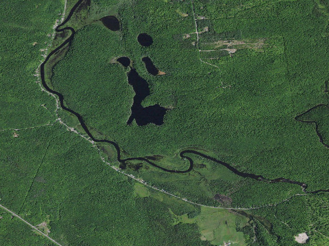 Aerial image of Long Pond Designated Campsite (Debar Mountain Wild Forest)