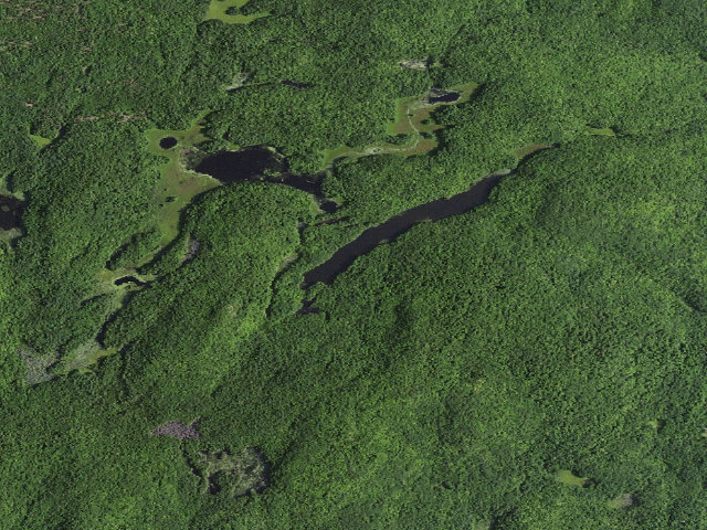 Aerial image of Long Pond Primitive Campsite 2 (Lake George Wild Forest)