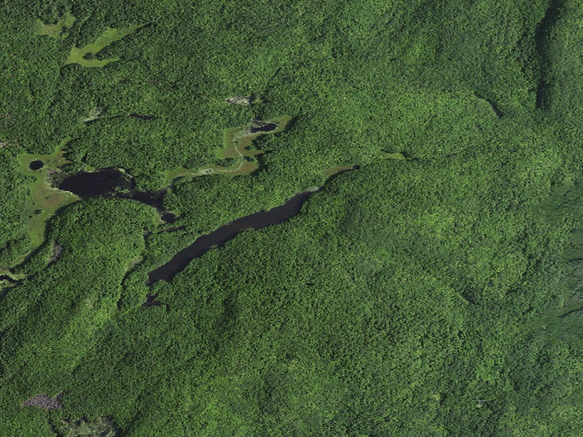 Aerial image of Long Pond Primitive Campsite 3 (Lake George Wild Forest)