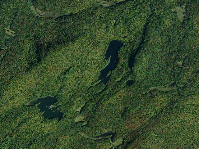Aerial image of Long Pond Site 1 (Siamese Ponds Wilderness)