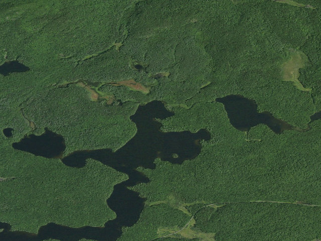 Aerial image of Long Pond Site 11 (Saint Regis Canoe Area)