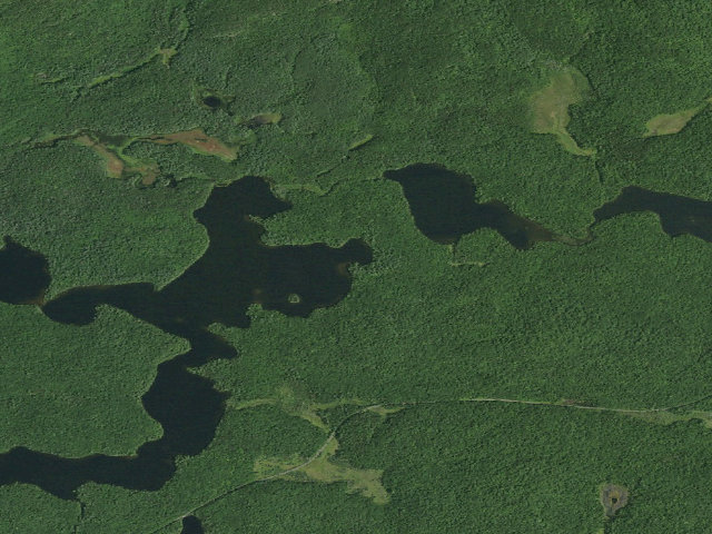 Aerial image of Long Pond Site 12 (Saint Regis Canoe Area)