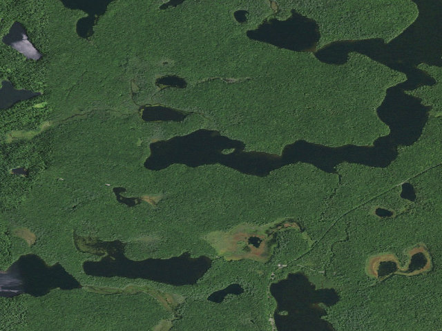 Aerial image of Long Pond Site 15 (Saint Regis Canoe Area)