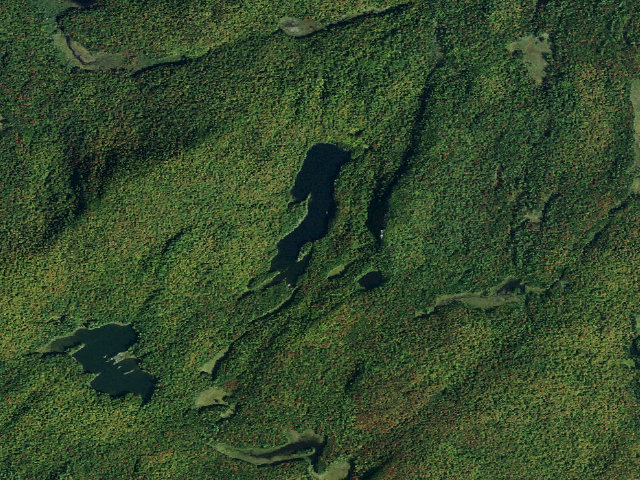 Aerial image of Long Pond Site 2 (Siamese Ponds Wilderness)