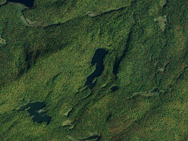 Aerial image of Long Pond Site 3 (Siamese Ponds Wilderness)