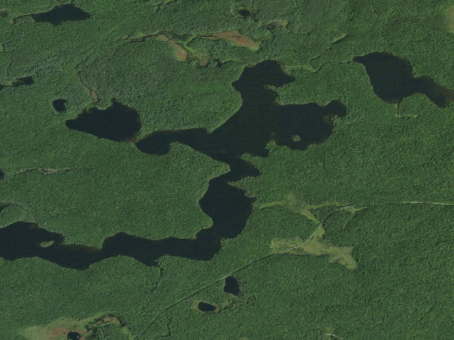 Aerial image of Long Pond Site 5 (Saint Regis Canoe Area)