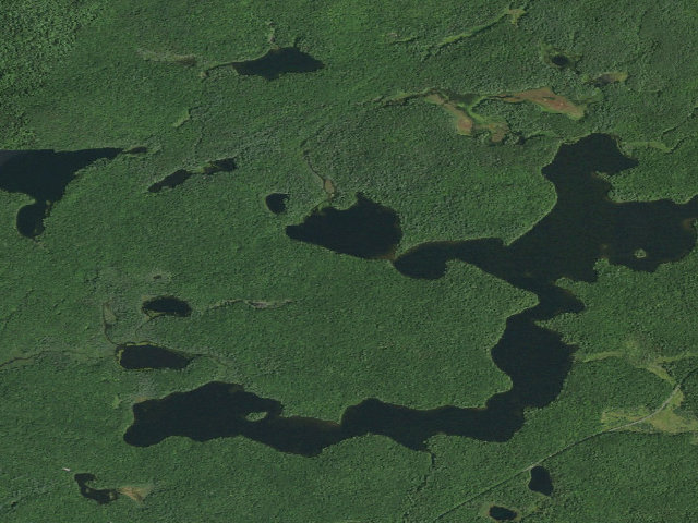 Aerial image of Long Pond Site 7 (Saint Regis Canoe Area)