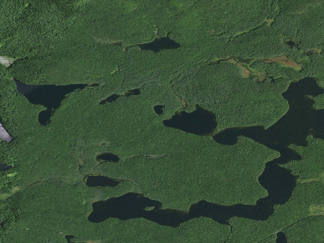 Aerial image of Long Pond Site 8 (Saint Regis Canoe Area)