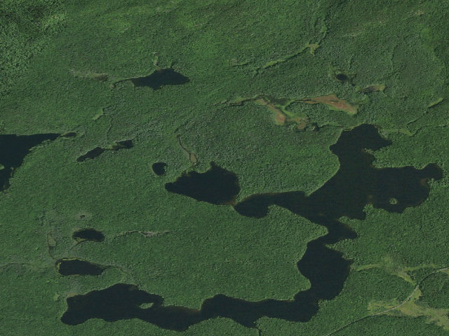 Aerial image of Long Pond Site 9 (Saint Regis Canoe Area)