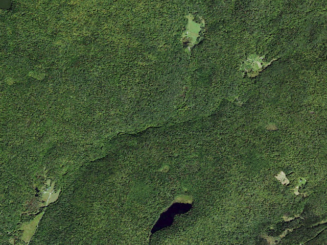 Aerial image of Long Pond Tent Site (east) [DEC #228971] (Willowemoc Wild Forest)