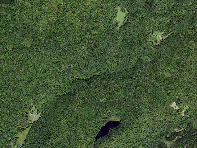 Aerial image of Long Pond Tent Site (west) [DEC #228960] (Willowemoc Wild Forest)