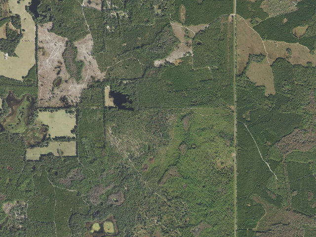 Aerial image of Longleaf Flatwoods Reserve group site with shelter