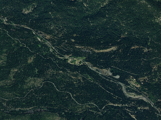 Aerial image of Longmire Meadow
