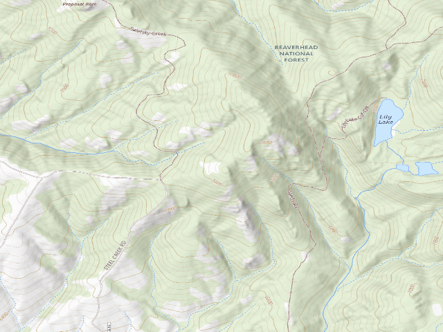 USGS topographic map of Look Down On Wisdom
