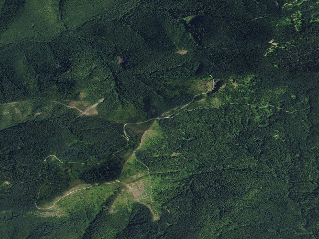 Aerial image of Lookout Mountain Camp