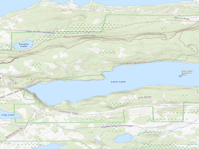 USGS topographic map of Loon Lake