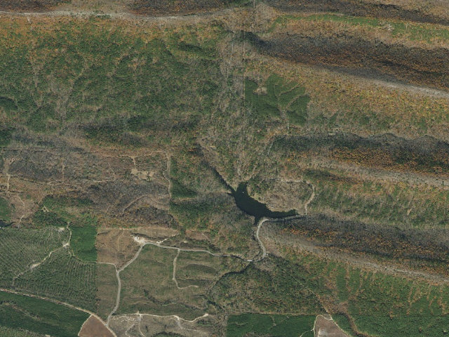 Aerial image of Loop B