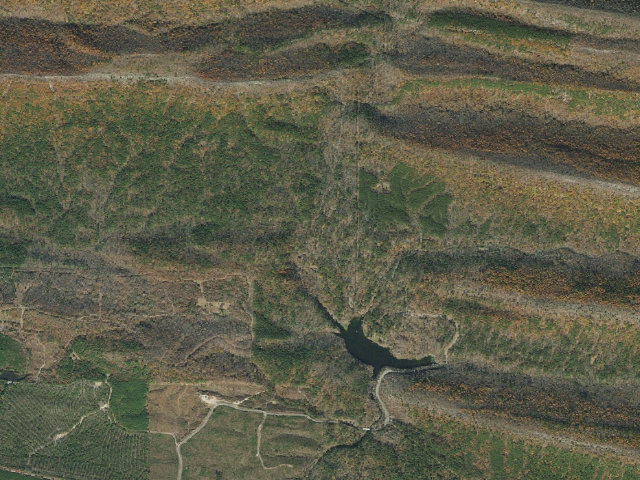 Aerial image of Loop C