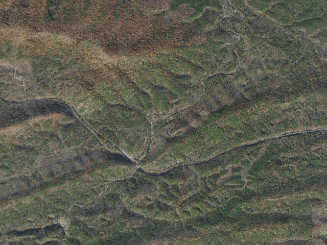 Aerial image of Loop C