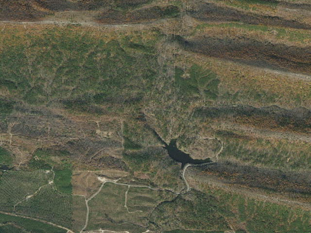 Aerial image of Loop D