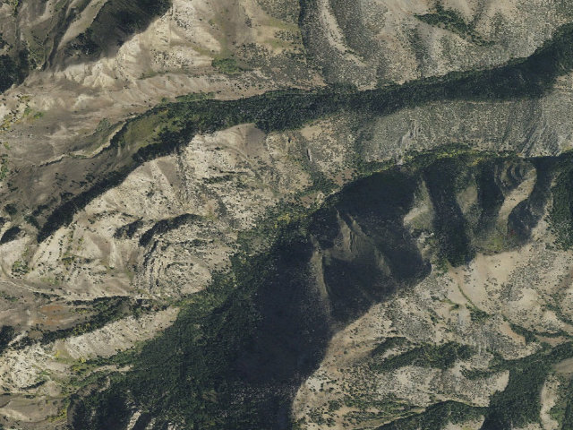 Aerial image of Loop