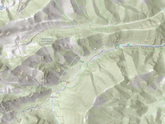 USGS topographic map of Loop