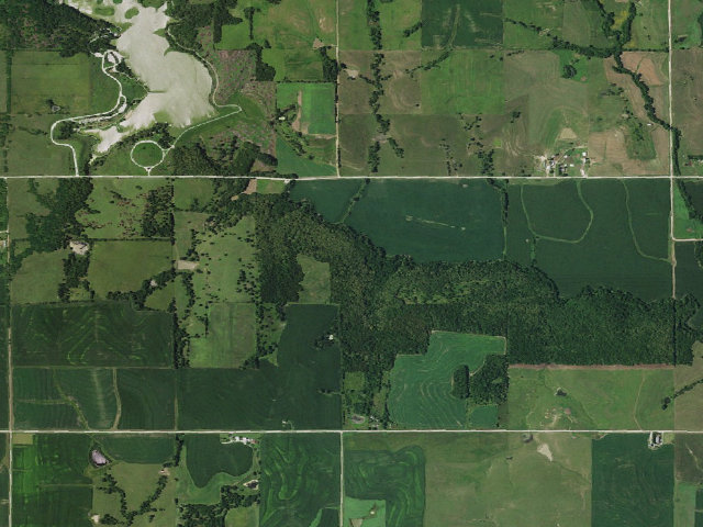 Aerial image of Lores Branch WMA
