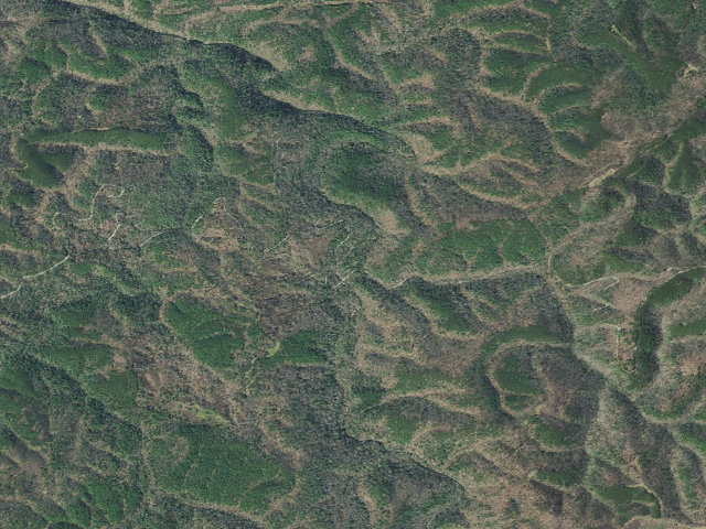 Aerial image of Lost Creek Campground