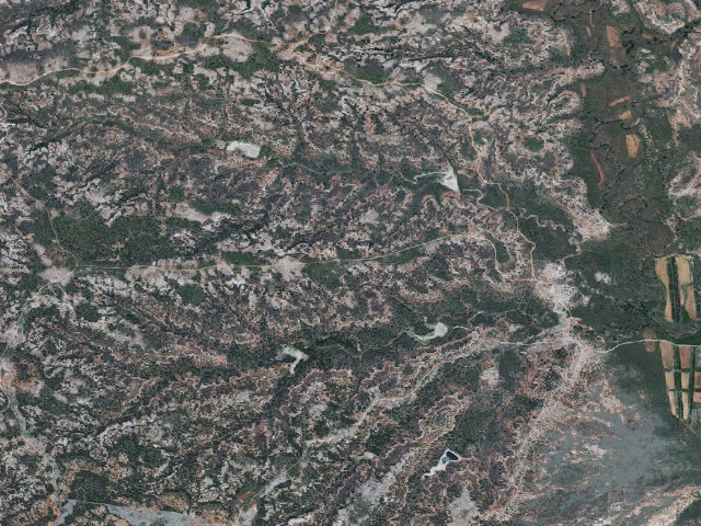 Aerial image of Lost Dog Camp (Sandy Sanders WMA)