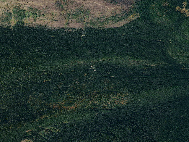 Aerial image of Lost Lake