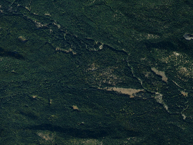 Aerial image of Lost Meadow