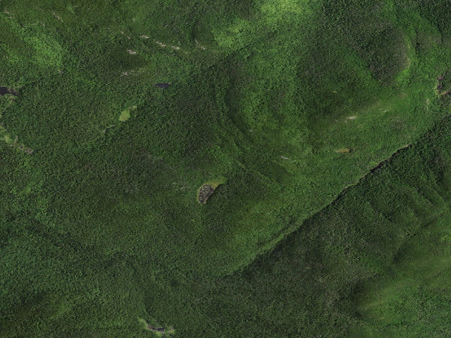 Aerial image of Lost Pond Campsite [DEC #9290] (Hurricane Mountain Primitive Area)