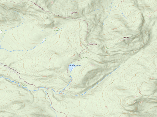 USGS topographic map of Lost Pond Campsite [DEC #9290] (Hurricane Mountain Primitive Area)