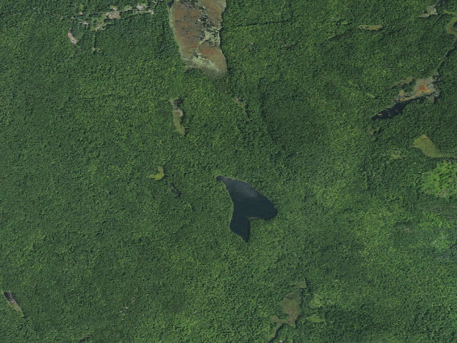 Aerial image of LOST POND PRIMITIVE TENT SITE 1 (Pharaoh Lake Wilderness)