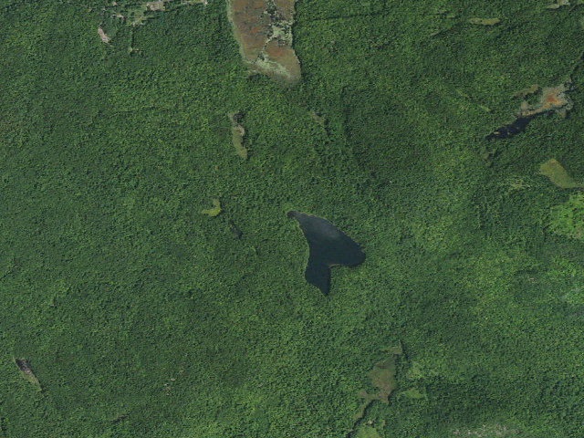 Aerial image of LOST POND PRIMITIVE TENT SITE 2 (Pharaoh Lake Wilderness)