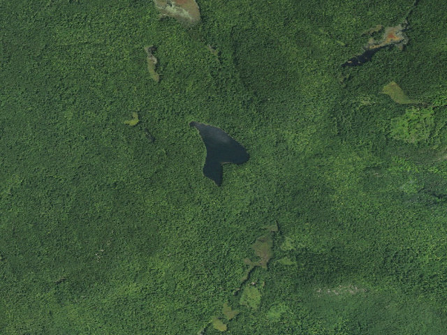 Aerial image of LOST POND PRIMITIVE TENT SITE 3 (Pharaoh Lake Wilderness)