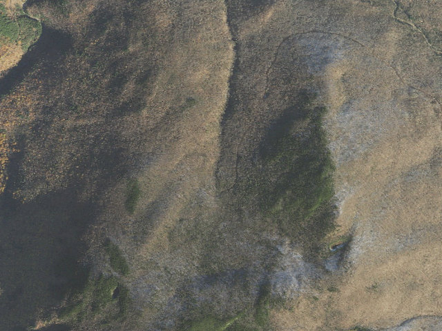 Aerial image of Lost Pond Shelter