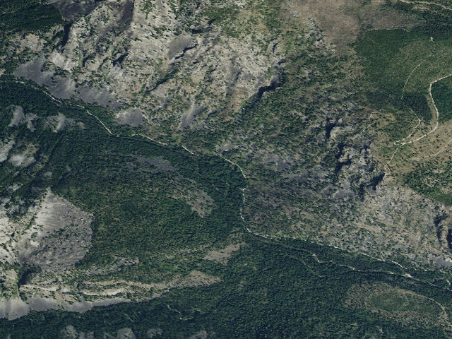 Aerial image of Losthorse-016