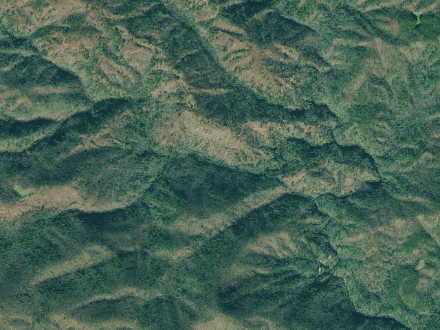 Aerial image of Low Gap Campground