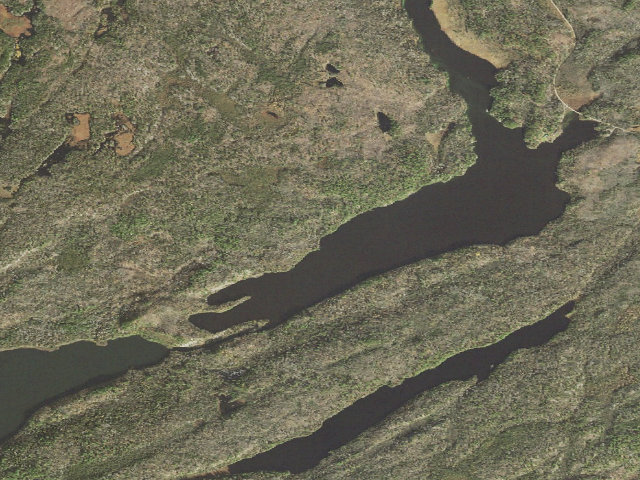 Aerial image of Low Lake Site 1