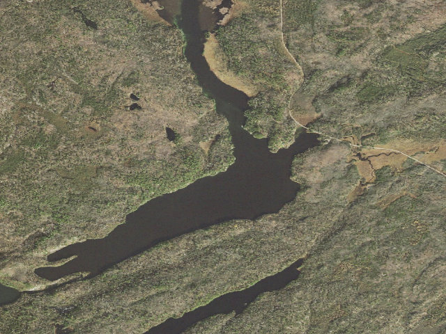 Aerial image of Low Lake Site 2