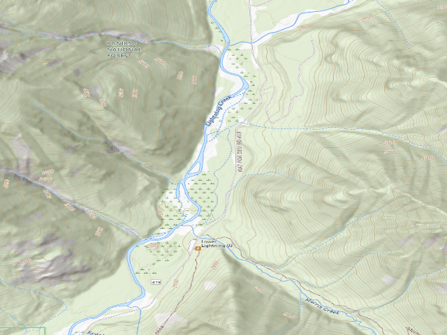 USGS topographic map of Low Lightning 06