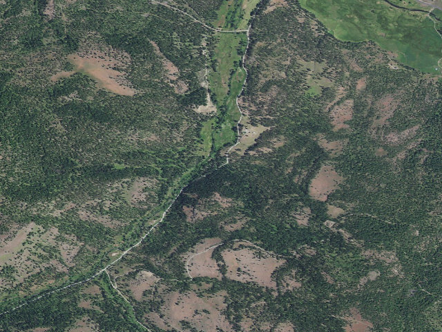 Aerial image of Lower Camp Creek