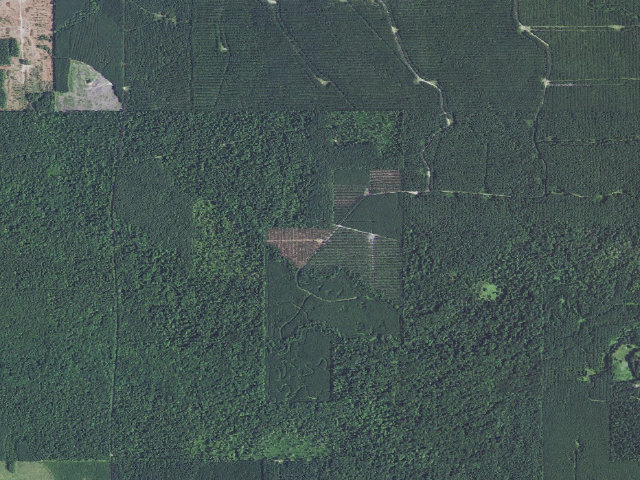 Aerial image of Lower Caney Camp Spot (Herron Family WMA)