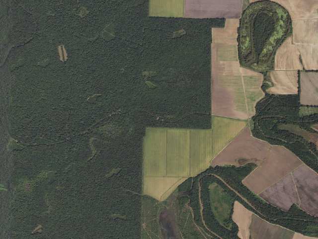 Aerial image of Lower East Camping Area