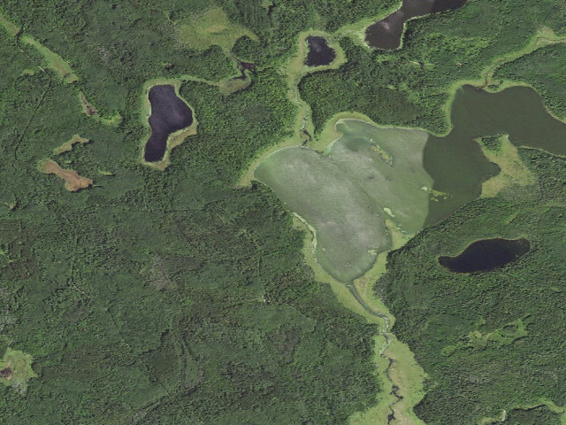 Aerial image of Lower Pigeon D50