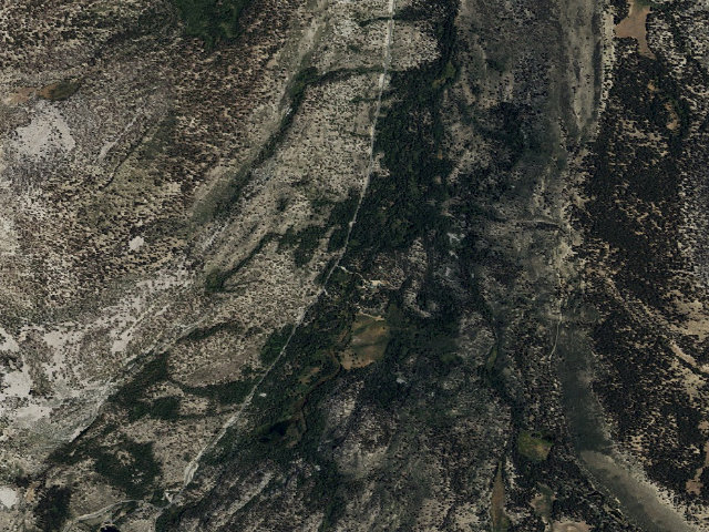 Aerial image of Lower Pine Grove Cg