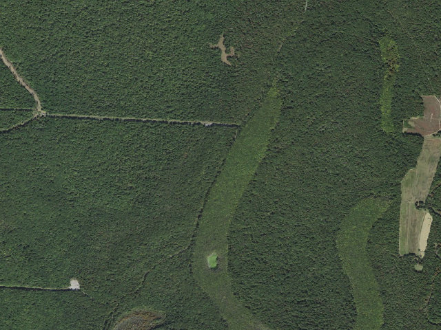 Aerial image of Lower Vallier Access Camping Area #2