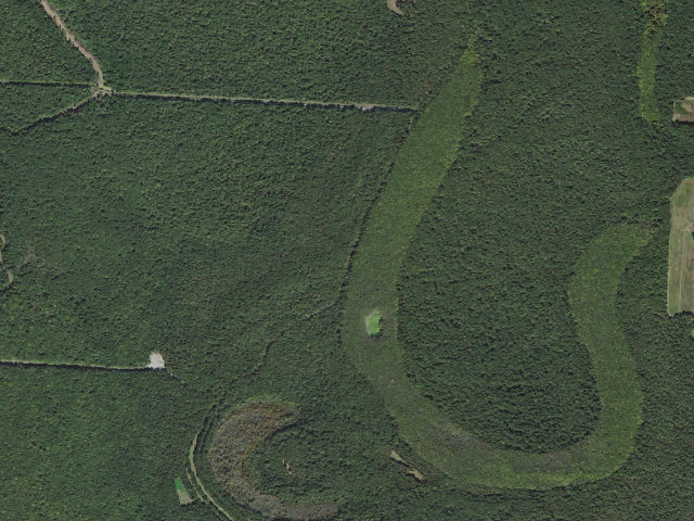 Aerial image of Lower Vallier Access Camping Area #3