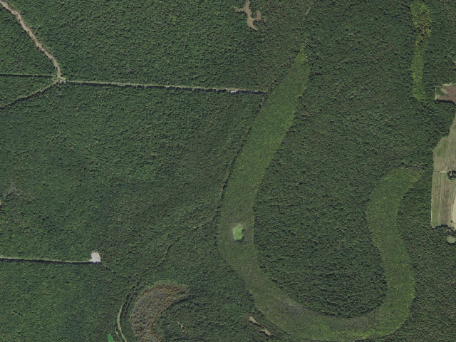 Aerial image of Lower Vallier Access Camping Area #4
